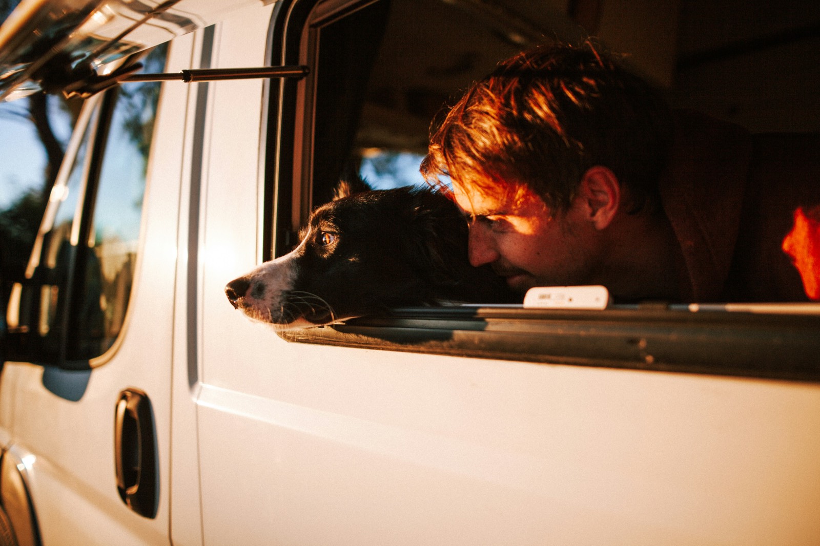 Dog-friendly places