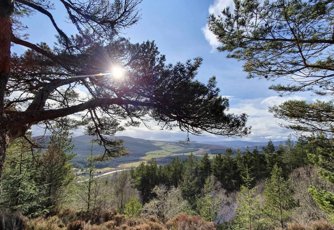 Stay the Night - Scotland